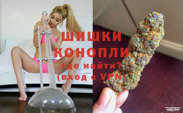 прущие грибы Балабаново