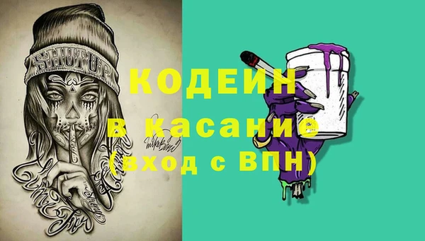 прущие грибы Балабаново